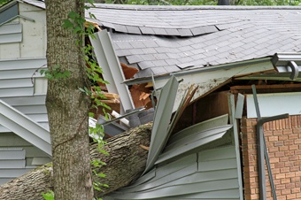 Tree-crashes-into-roof.jpg